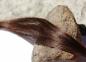 Preview: Darkbrown