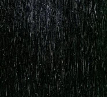 Schwarzbraun