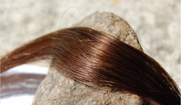 Chocolate Brown