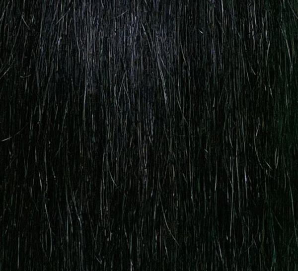 Schwarzbraun