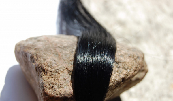 Ravenblack