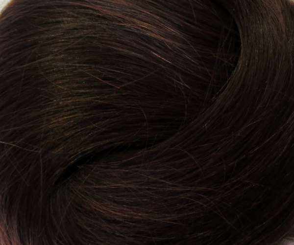 Chocolate Brown